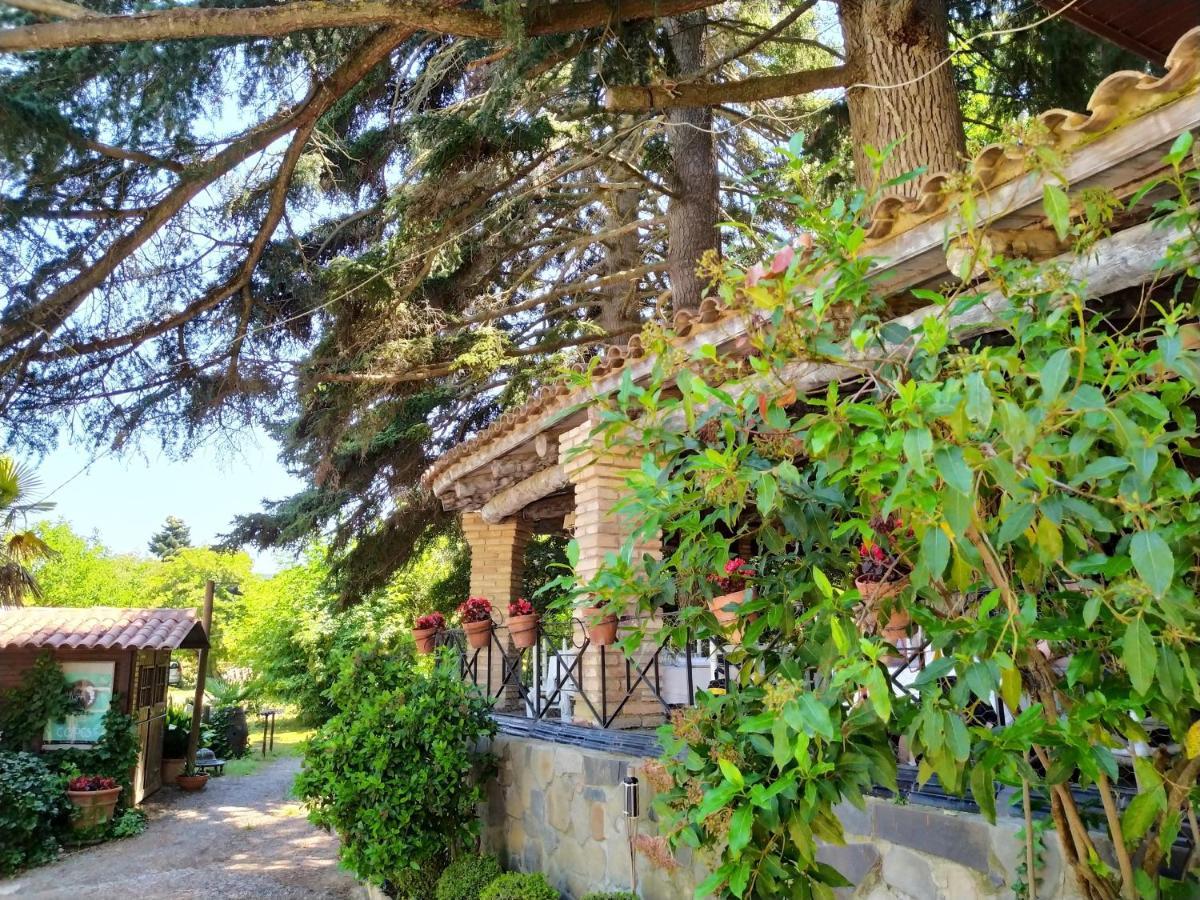 Masia Sagues بوليت المظهر الخارجي الصورة