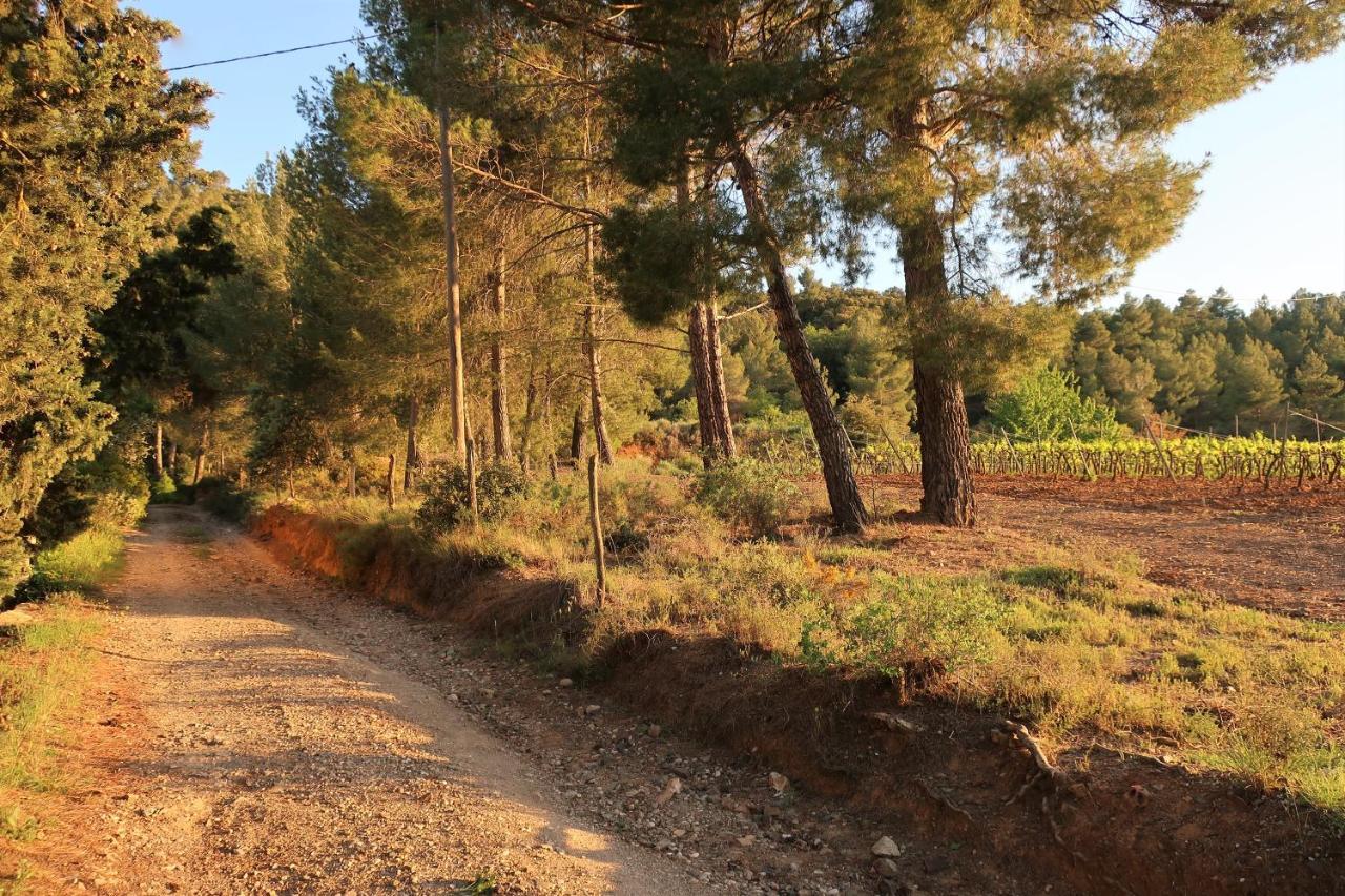 Masia Sagues بوليت المظهر الخارجي الصورة